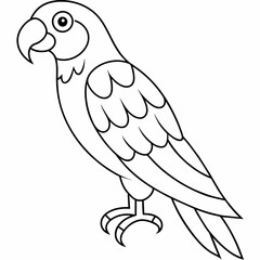 parrot black and white vector illustration for coloring book