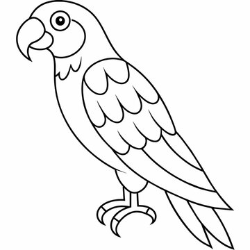 parrot black and white vector illustration for coloring book