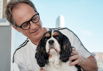 Portrait of cute female cavalier king Charles spaniel dog sitting with her adult man owner. Animals...