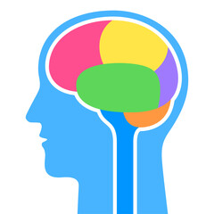 Human head outline with brain