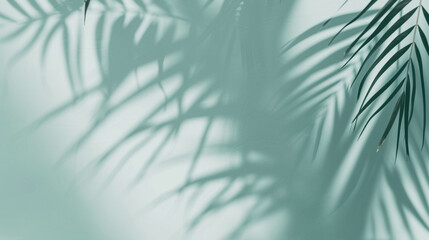 Abstract white studio background for product presentation. Empty room with window shadows, flowers and palm leaves. Summer concept. Background.