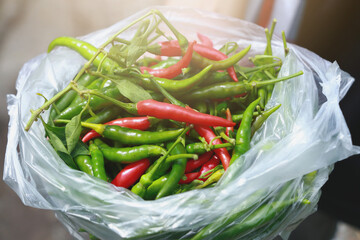 person holding a bag of pepper red and green
