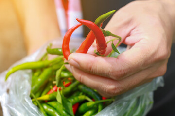 person holding a bag of pepper red and green