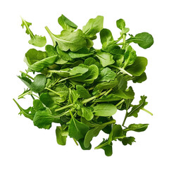 Plethora of Vibrant Green Arugula Spice Leaves
