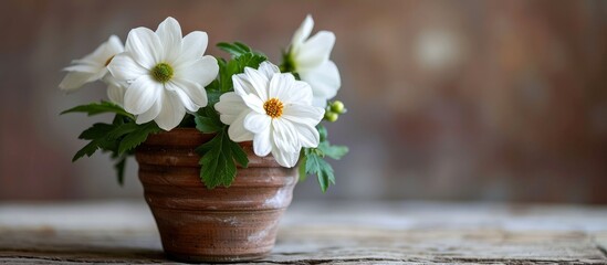 Captivatingly Beautiful White Flower in a Serene Leaf-Filled Pot