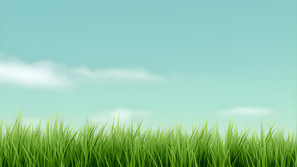 Fototapeta na wymiar Panoramic View of Lush Green Grass, green grass and blue sky