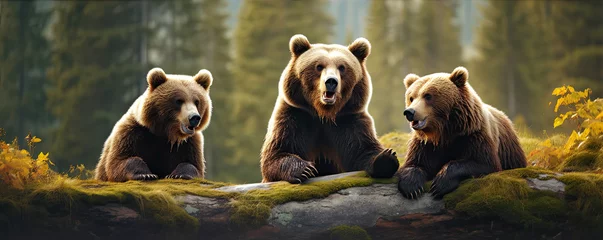 Fotobehang Brown bear in natural habitat. © Michal