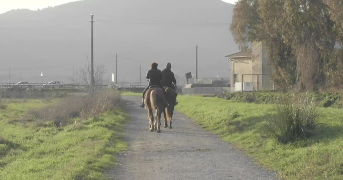 Rear view of young couple riding horses on dirt road