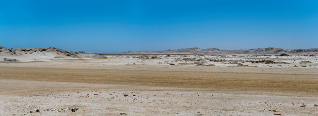 sand dunes near desert shore,south of Luderitz,  Namibia