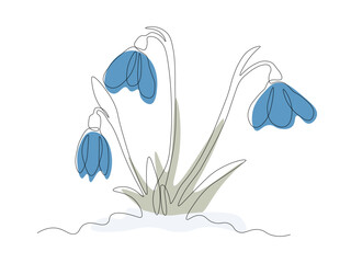 Abstract spring snowdrops on snow ,continuous one line art hand drawing sketch