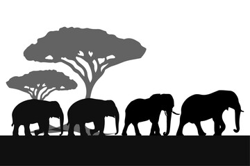 silhouette of elephants in forest for world wildlife day. vector illustration 