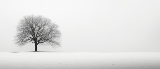 Solitary Tree in a Snowy Minimalist Landscape.