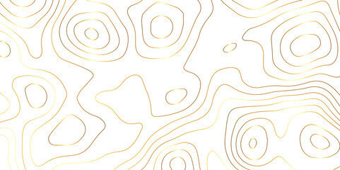 Abstract background with topographic contours map with geographic golden line map .white wave paper curved reliefs abstract background .vector illustration of topographic line contour map design . - obrazy, fototapety, plakaty