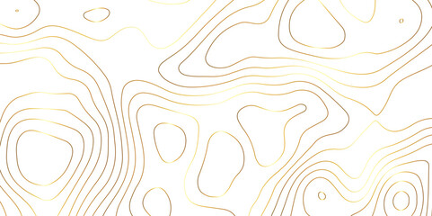 Abstract background with topographic contours map with geographic golden line map .white wave paper curved reliefs abstract background .vector illustration of topographic line contour map design . - obrazy, fototapety, plakaty