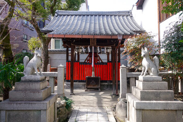 梅の花が咲き始めた菅大臣神社（京都）