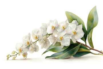 white orchid watercolor painting isolated on white, in the style of light gray and light amber, highly detailed foliage
