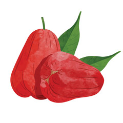 Rose apple fruit Design elements. watercolour style vector illustration. - obrazy, fototapety, plakaty