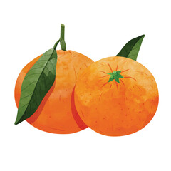 mandarin orange fruit Design elements. watercolour style vector illustration.