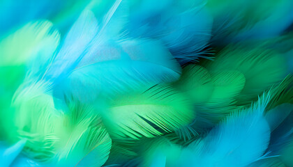 Fototapeta na wymiar Beautiful blue and green feathers as background. Close-up, Macro background, Feathers texture. Colorful Banner