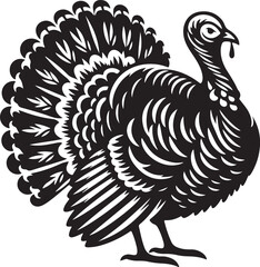 vector illustration turkey 