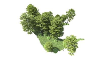 Obraz premium Green forest isolated on background. 3d rendering - illustration