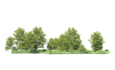 Green forest isolated on background. 3d rendering - illustration