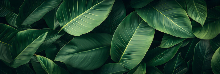 abstract green leaf texture, nature background, tropical leaf, Generative Ai