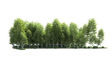Obraz premium Green forest isolated on background. 3d rendering - illustration
