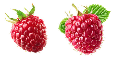 Raspberry with leaves isolated on transparent background. Clipping Path