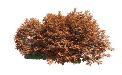 Green forest isolated on background. 3d rendering - illustration