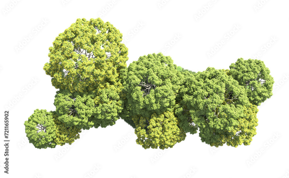 Canvas Prints Green forest isolated on background. 3d rendering - illustration