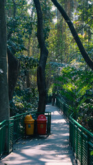 walk in the woods