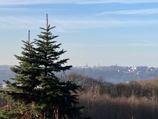Blick über Naturlandschaft auf die Skyline von Solingen mit aufsteigenden Nebel aus dem Tal der...