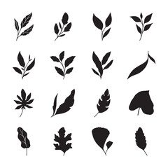 set of silhouettes of leaves	
