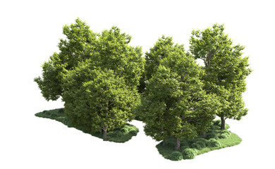 Green forest isolated on background. 3d rendering - illustration