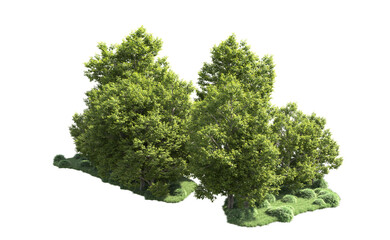 Green forest isolated on background. 3d rendering - illustration