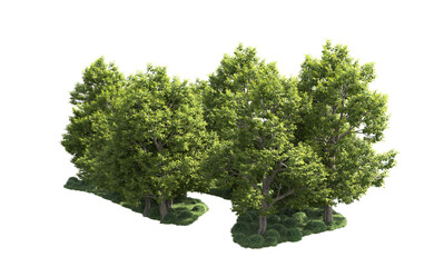 Green forest isolated on background. 3d rendering - illustration