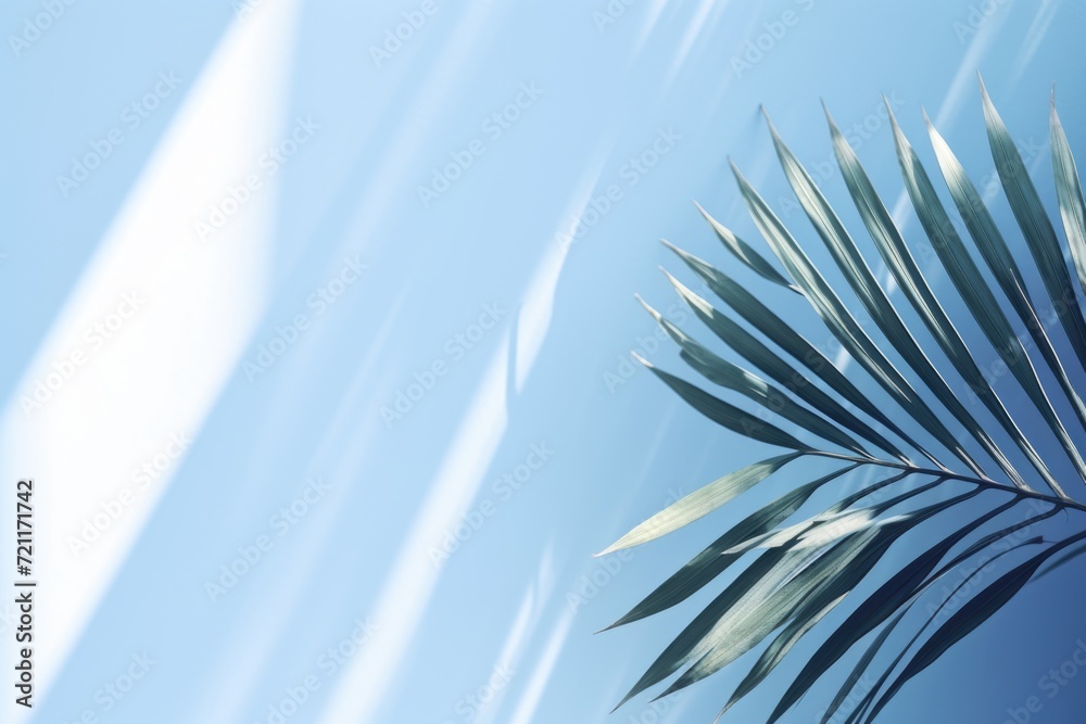 Wall mural abstract background with blurred palm leaf shadow for product presentation.