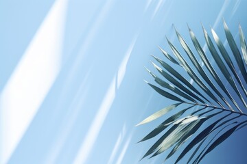 Abstract background with blurred palm leaf shadow for product presentation.