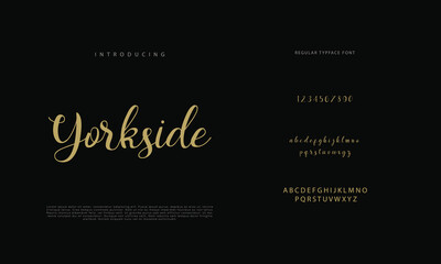 Signature Font Calligraphy Logotype Script Brush Font Type Font lettering handwritten
