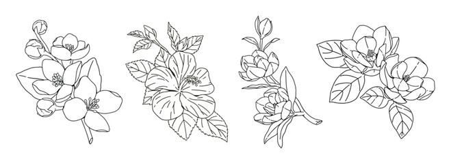 Fototapeta premium Line drawing floral abstract minimal collection, Black linear set of flower, Hand painted bunch of flowers, Spring floral isolated on white background, Floral illustration for design.