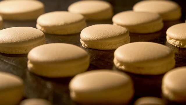 Timelapse of growing macarons. Baking macaroons in electric oven. Delicious French dessert. Enlargement of macrons during baking. Process of cooking macaroons. Close-up in 4K, UHD