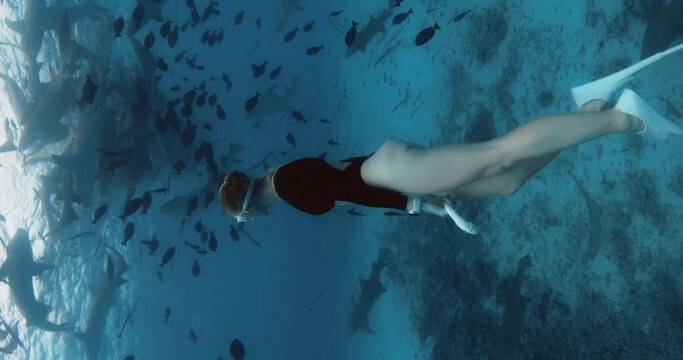 Attractive woman freediver dives and swimming with Nurse sharks and fishes in blue ocean in the Maldives.