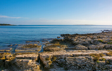 The rugged limestone coast of the Kasteja Forest Park - Park Suma Kasteja - in Medulin, Istria, Croatia. December