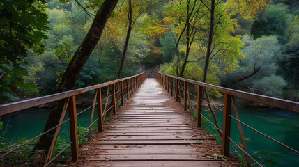 Footbridge amidst forest - Powered by Adobe