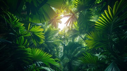 Fototapeta na wymiar Lush tropical rainforest canopy, vibrant flora, wildlife, fisheye lens, midday, dreamy, Fujifilm Velvia film.