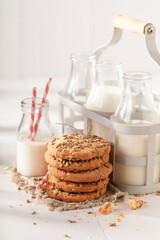 Homemade sunflower seed cookies as a breakfast snack.