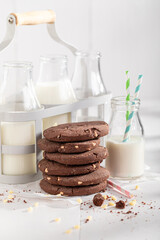 Tasty and homemade chocolate cookies as a sweet dessert.