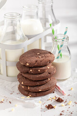 Tasty and homemade chocolate cookies as a popular sweet snack.
