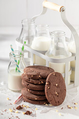 Traditionally and tasty chocolate cookies served with fresh milk..